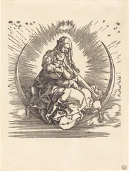 De Madonna op de Maan