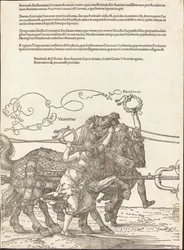 De Triomfwagen van Maximiliaan I (De Grote Triomfwagen) [plaat 5 van 8]