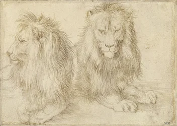 Twee zittende leeuwen, 1521