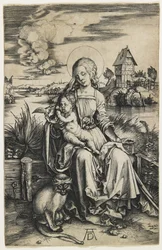 Maagd en Kind met de Aap, ca. 1498