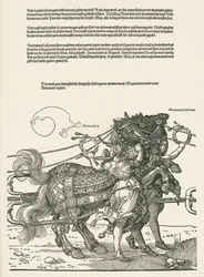 De grote triomfwagen