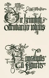 Titel van de Duitse editie van 1498: De Geheime Openbaring van Johannes ...