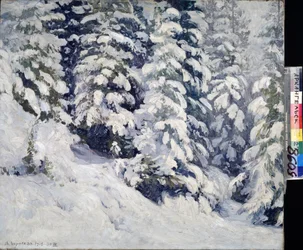 Bos in de winter