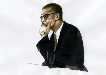 Malcolm X (1925-1965) Afro-Amerikaanse activist