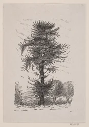 Eik bij Guldberg
