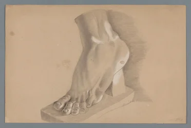 Gipsmodel van een voet