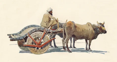 Een ossenkar, Jodhpur