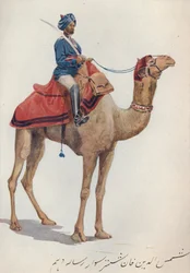 Een kameel-sowar van de 10e Bengal Lancers, ca. 1880