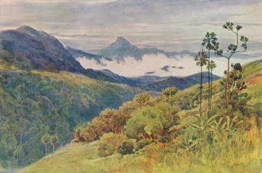 Ochtendnevels in de vallei van de Mahawelli Gangha, ca. 1880-1905