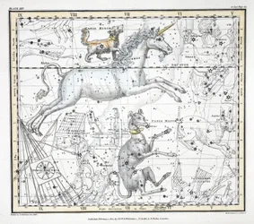 De sterrenbeelden (plaat XXV) Canis Major, Canis Minor, Monoceros, Argo Navis, l