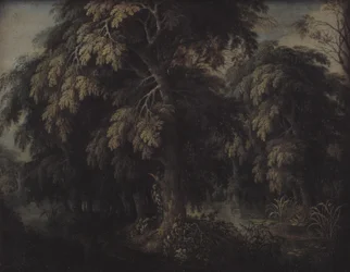 Boslandschap