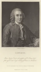 Linnaeus