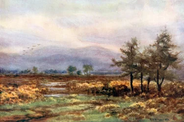 Bij Abbeyleix, Queen