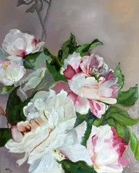 Roze en witte pioenrozen