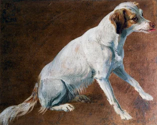 Franse Spaniel voorouder