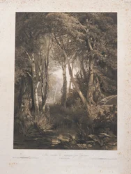 Landschap