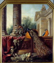 Stilleven met pauw, een papegaai, een aap en druiventrossen. 18e eeuw. 2,05 x 1,8 m, Lyon, Musée des Beaux-Arts