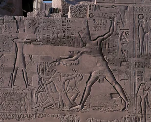 Egypte - Oud Thebe (UNESCO Werelderfgoedlijst)