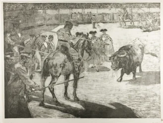 Stierengevecht