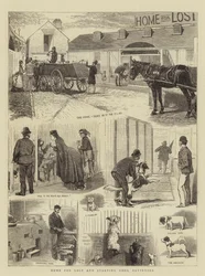 Huis voor Verloren en Hongerige Honden, Battersea