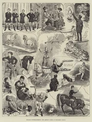 Vakantievermaak, onze Kunstenaar