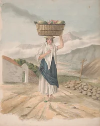Vrouwelijke Ventster van Port Orotava