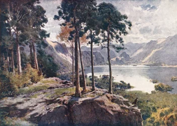 Lake District: Derwentwater, vanaf Castle Head, een heldere ochtend