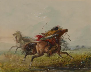 Een pijl ontwijken (kraai)