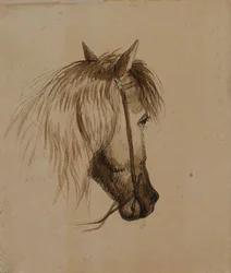 Paardenkop