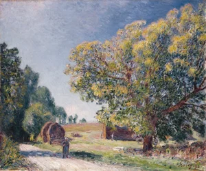 Een open plek in een bos, 1895