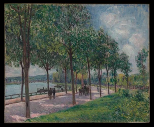 Laan met kastanjebomen