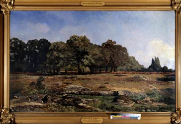Laan van kastanjebomen naar de Celle Saint Cloud door Alfred Sisley