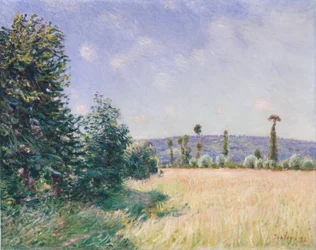 Sahurs-weiden in de ochtendzon, 1894