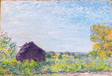 De hooiberg, 1877