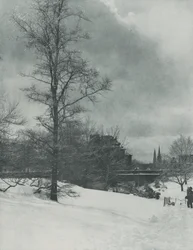 Een winterhemel — Central Park