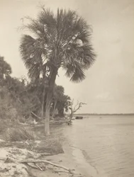 In Rockledge, Florida