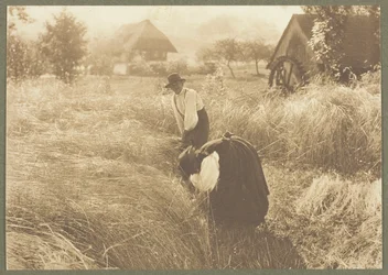 Vroege ochtend