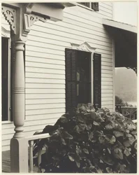 Huis en druivenbladeren, 1934