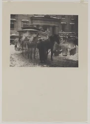 Het Terminal