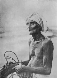 Visser, ca. 1890, 1910