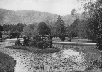 Hakgalla-tuinen vanaf de Lotusvijver, Nuwara Eliya, ca. 1890, 1910