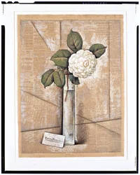 Gardenia in Glas, c.1936