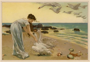 De witte zwanen