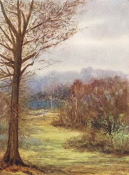 New Forest: A Peep on the Brockenhurst Road, Early Spring (kleurenlitho)