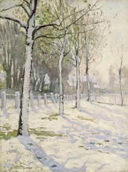Populieren in de Sneeuw
