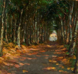 Allee in het park