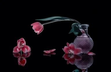 Elegante roze tulpen