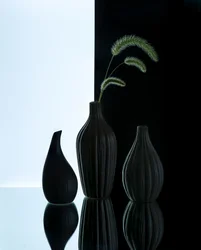 Elegante vazen met gras