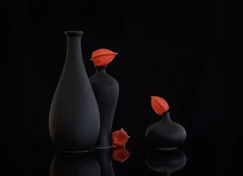 Stilleven met oranje physalis