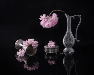 Zilver en sakura